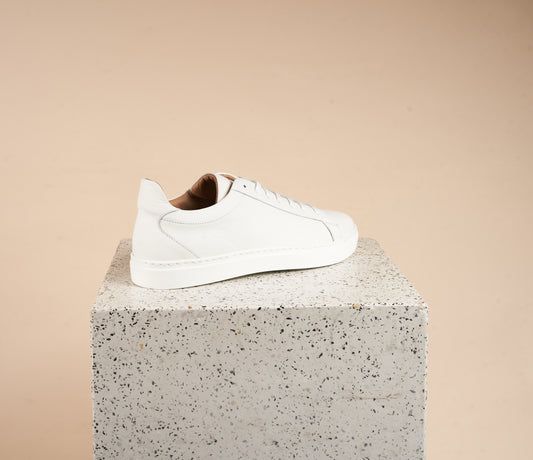 Mens Sneakers.