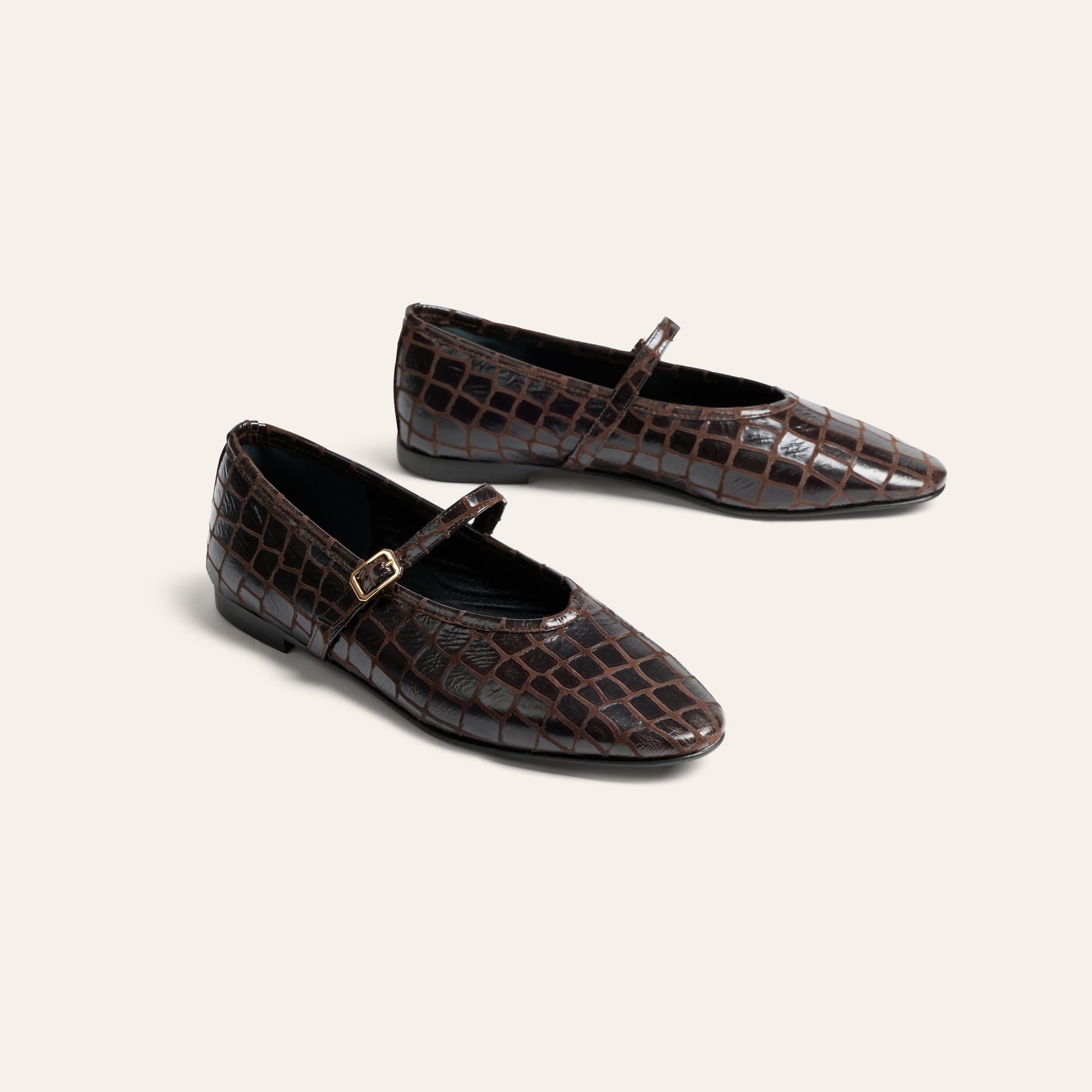 Cori - Chocolate Croc