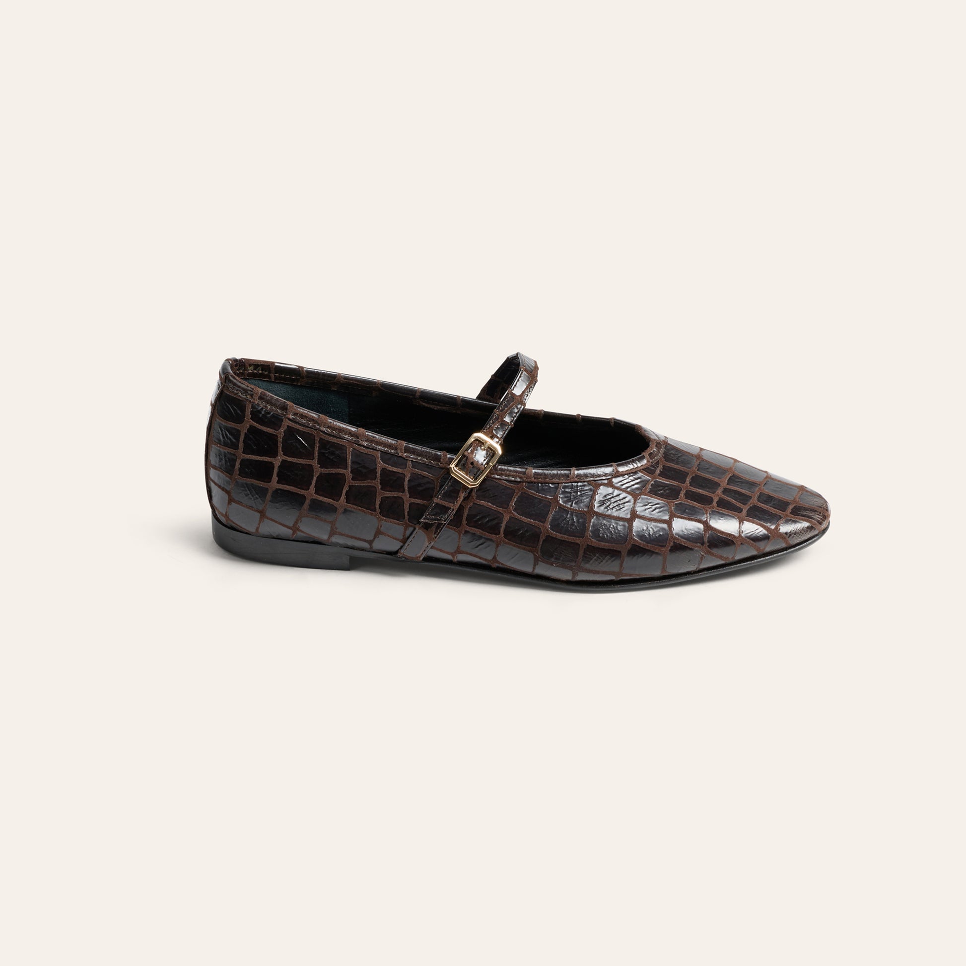 Cori - Chocolate Croc