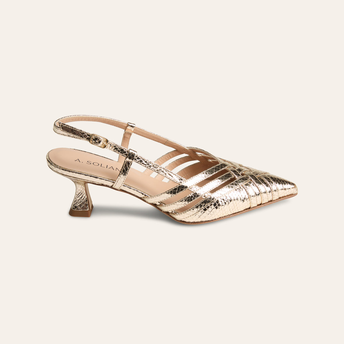 Novara - Gold Snake