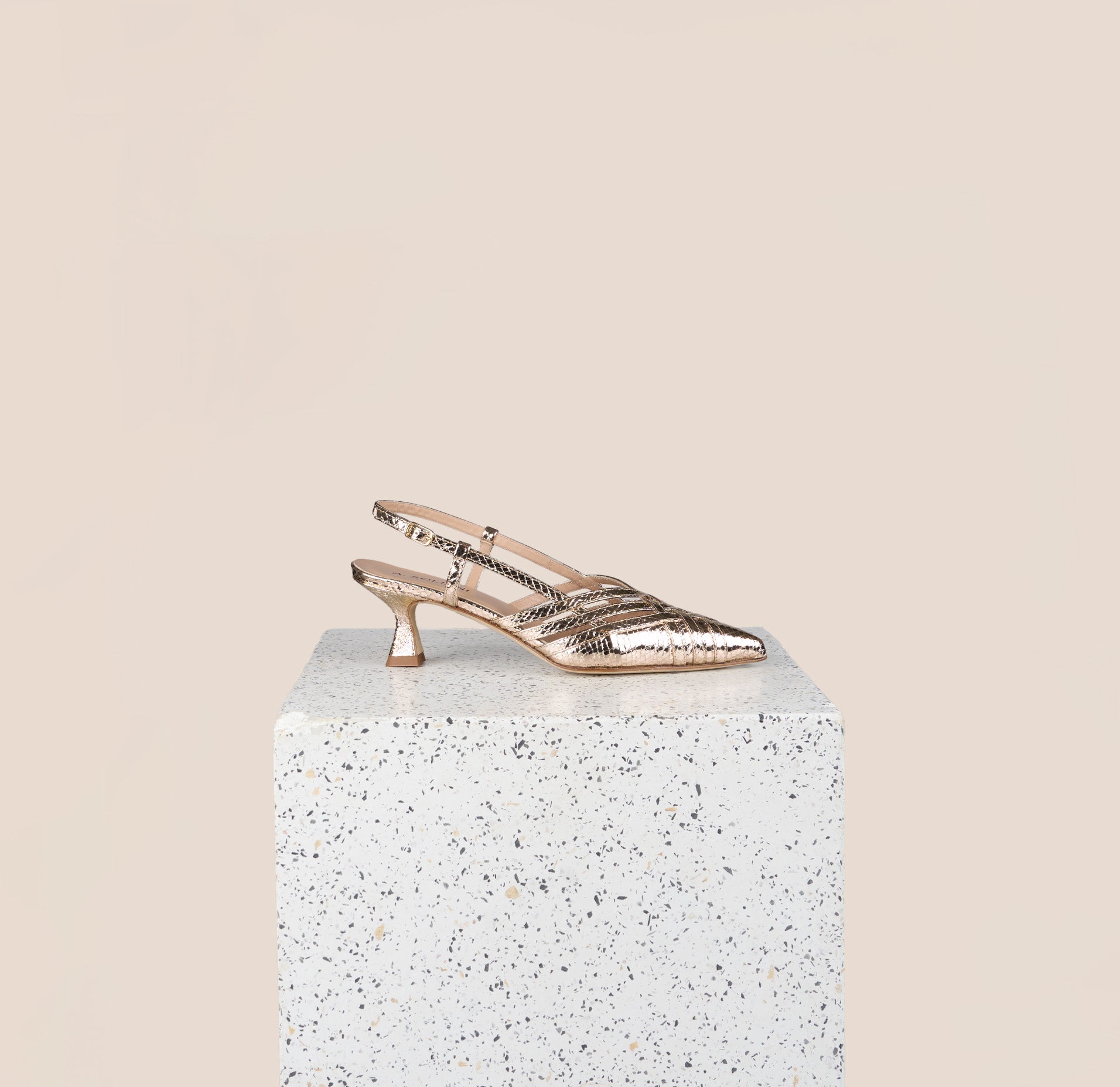 Novara - Gold Snake